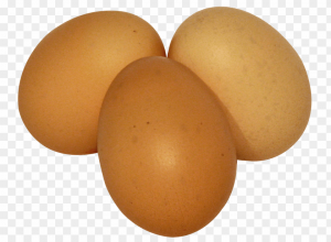 Egg