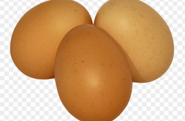 Egg