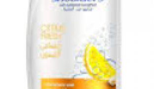 شامبو  هيد اند شولدرز