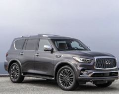 انفينيتي qx80