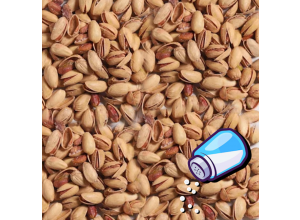 فستق امريكي مالح