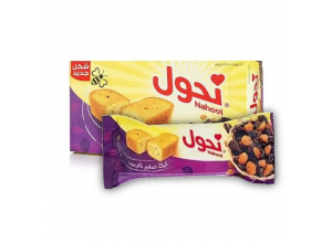 نحول كيك بالزبيب صغير 28 جرام