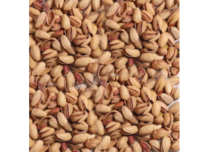 فستق امريكي سادة