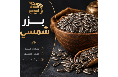 بزر شمسي